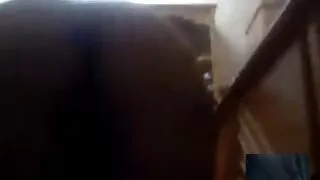 أبيض فلم سكسي مترجم الشعر فتاة القرفصاء على الديك من اختيار واحد