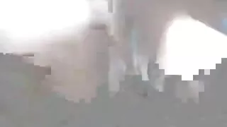 العاطفي الآسيوية مص الديك و تلطيخ مع نائب الرئيس مواقع سكسي مترجم