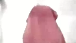 الكلبة القذرة بكل سرور أخذ نائب الرئيس سكسي مترجم الذكور